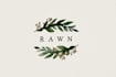 design a unique botanical boho logo