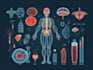 create medical and scientific illustrations