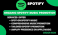 do  professional spotify promotion to get listeners fast