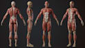 create a 3d game characters and creatures for games