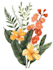 illustrate best botanical illustration