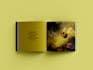 professionally format childrens books for amazon KDP print and ebook