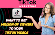 promote your tiktok reels to millions fast