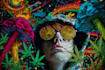 make trippy, psychedelic, surreal, illustrations designs