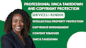provide professional dmca takedown and copyright protection services