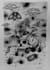 custom stippling art mystery