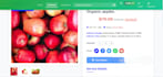 build a complete ecommerce solution