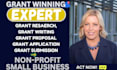 do grant research, writing, proposal, application for small business and ngo