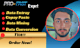 be your professional data entray operat and virtul assistant
