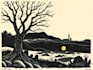 draw a custom linocut style  design