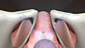 create 3d medical animation