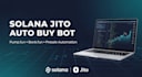 build a solana presale or token launch auto purchase bot