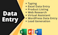 do data entry, data scraping, pdf to excel data entry
