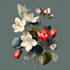 make a botanical illustrations of flowers art