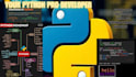 debug, fix, optimize, and build custom python scripts and automation tools