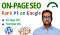 do on page SEO optimization service for google first page ranking