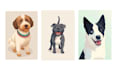 create custom pet portrait vector art from your photo