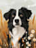 create a custom disney pet portrait illustration
