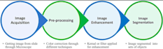 build ai model for image classification and object detection