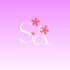 create custom logo design and fashion animated videos