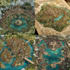 design fantasy map illustration isometric map