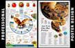 design medical, academic and scientific poster presentation