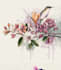 botanical illustrations of flowers, plants