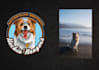 custom pet dog cat logo design