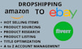 to ebay drop shipping expert and virtual assistant