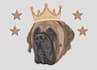 do custom pets embroidery digitizing into dst emb files