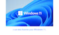 do license your microsoft office 365 and windows 11