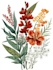 illustrate best botanical illustration