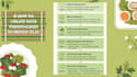 create a customized meal plan based on your bmi and health goals