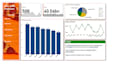 create data visualization dashboards in power bi or excel in 5 days