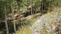 create a landscape and terrain for unreal engine using gaea