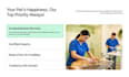 create a professional veterinary website