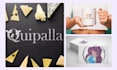 design a professional logo and mockups for your business