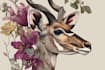 design animal and botanical illustration