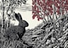 create a linocut illustration