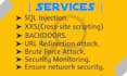 do professional penetration testing and vulnerability assessment
