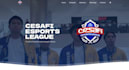 professionally build, optimize your website with feedback