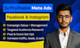 set up and optimize facebook and instagram ads to increase sales and leads