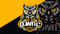 do design custom owl mascot logo with 1 day delivery