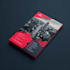 design professional flyer in 12 hours