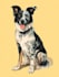 design a  pet portrait custom illustration