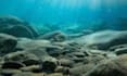 help you with your geology reports research data interpretation etc