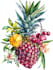 best botanical illustration art