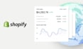 provide expert shopify store support and maintenance