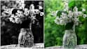 fix photo brightness, contrast and clarity