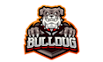 create creative and good looking bulldog logo design